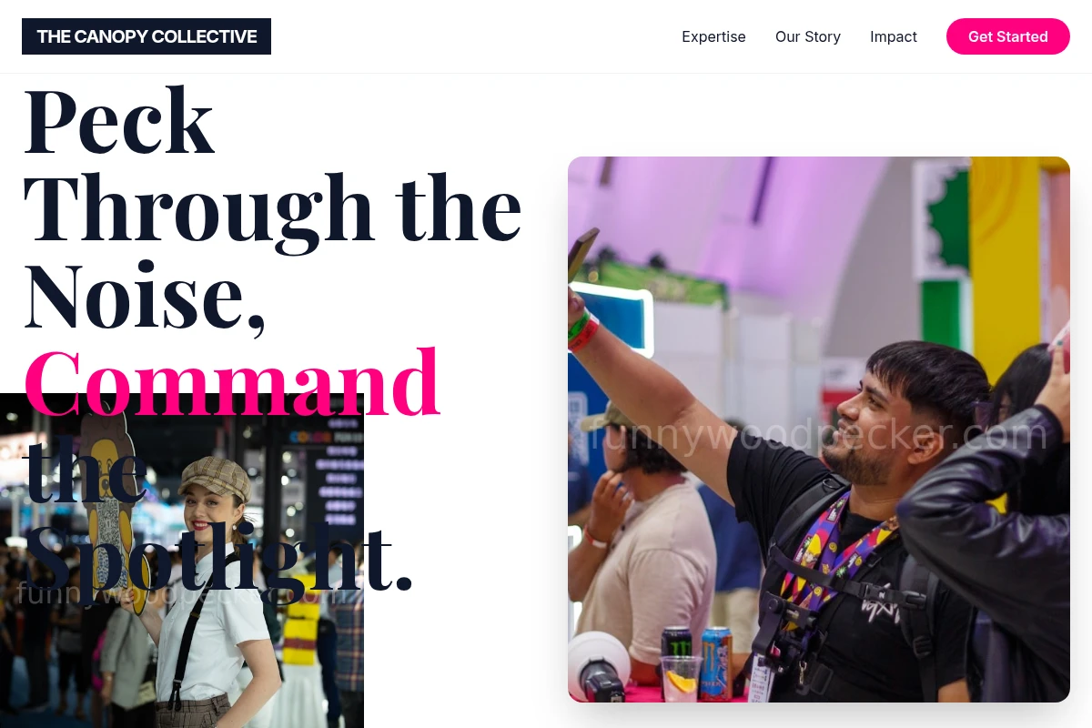Bold Brand Activation