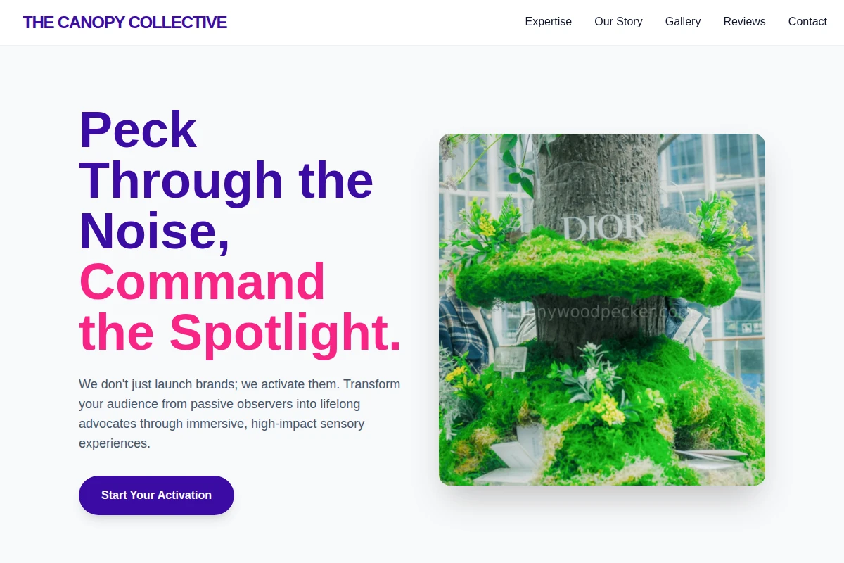 Timber Brand Activation