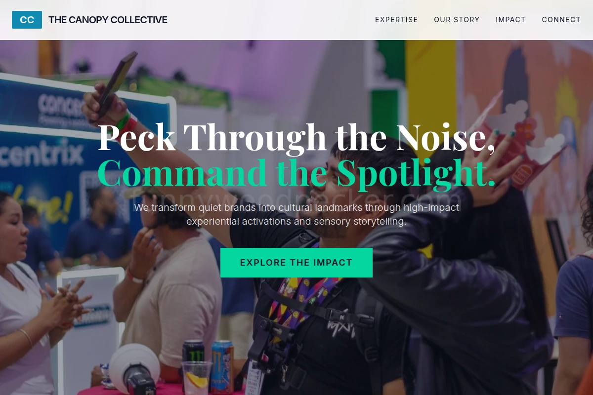 Woodpecker Brand Activation