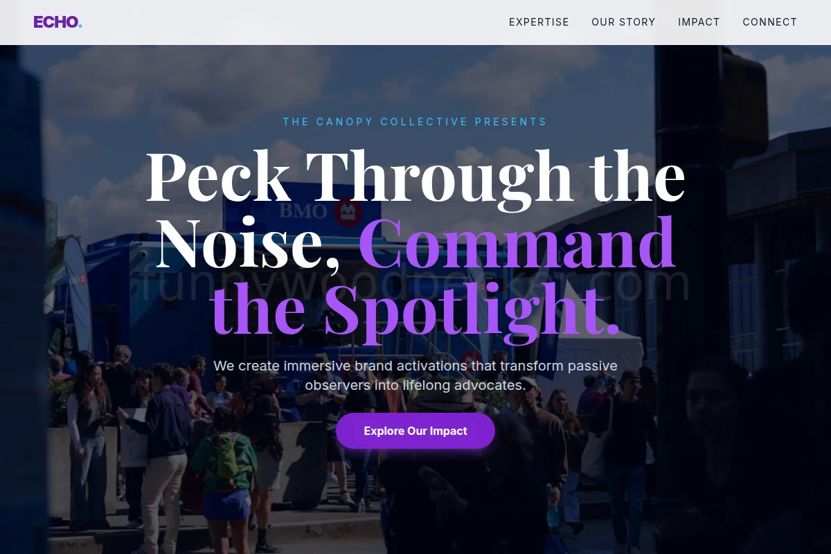 Echo Brand Activation