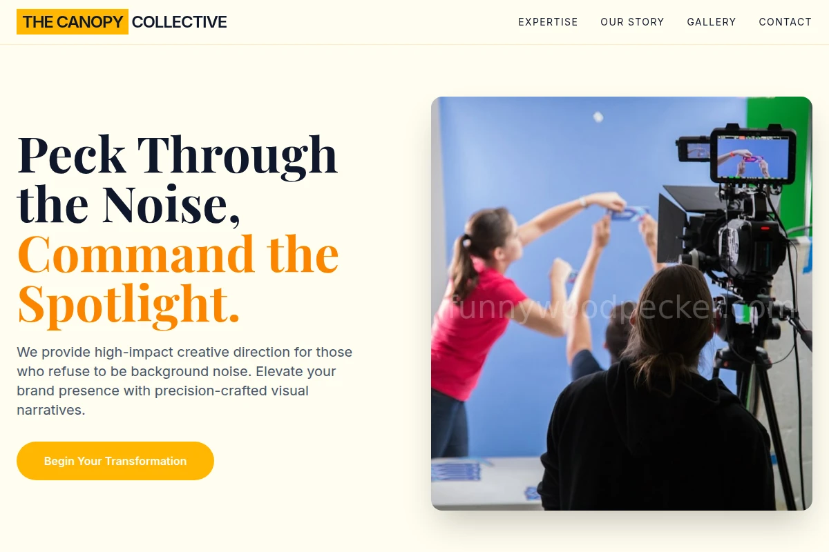 Beak Creative Direction