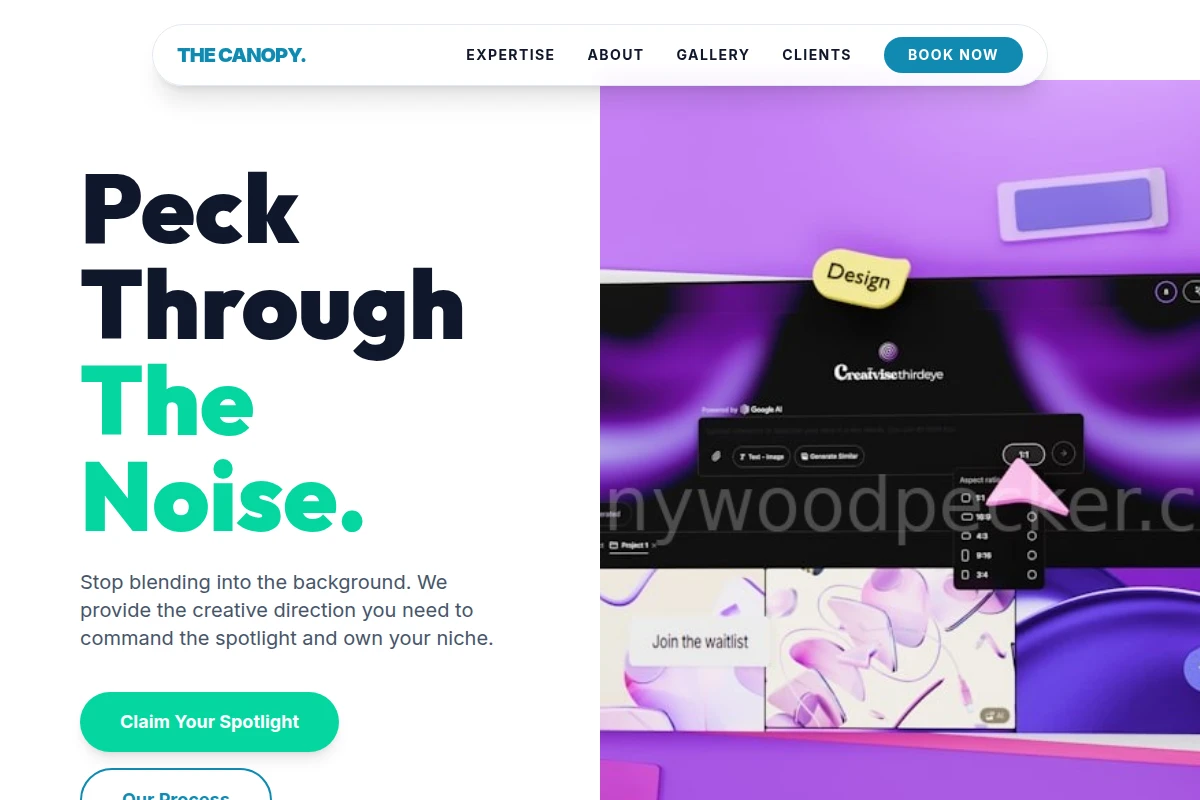 Canopy Creative Direction