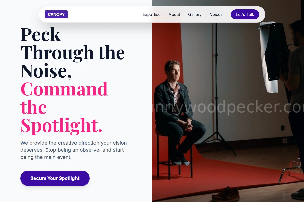Canopy Creative Direction