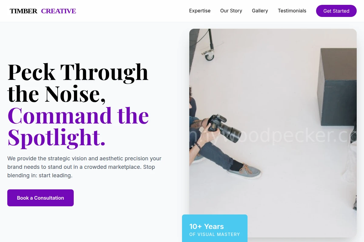 Timber Creative Direction