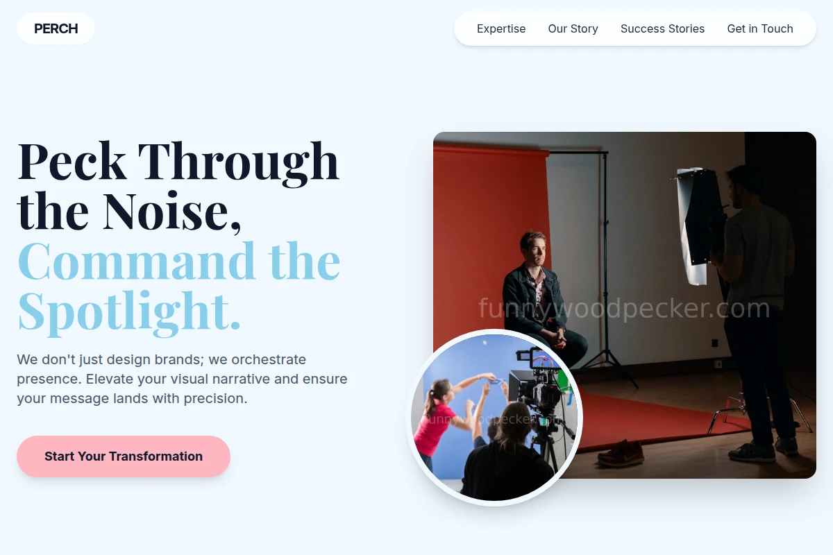 Perch Creative Direction