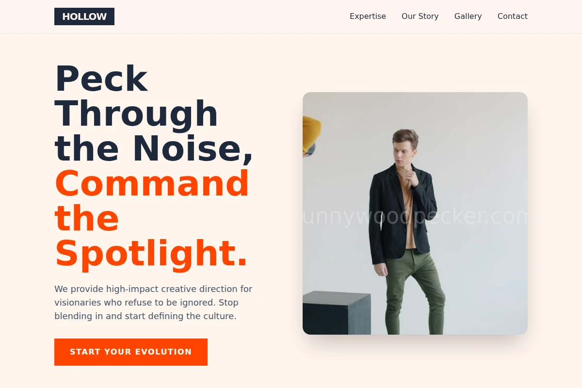 Hollow Creative Direction