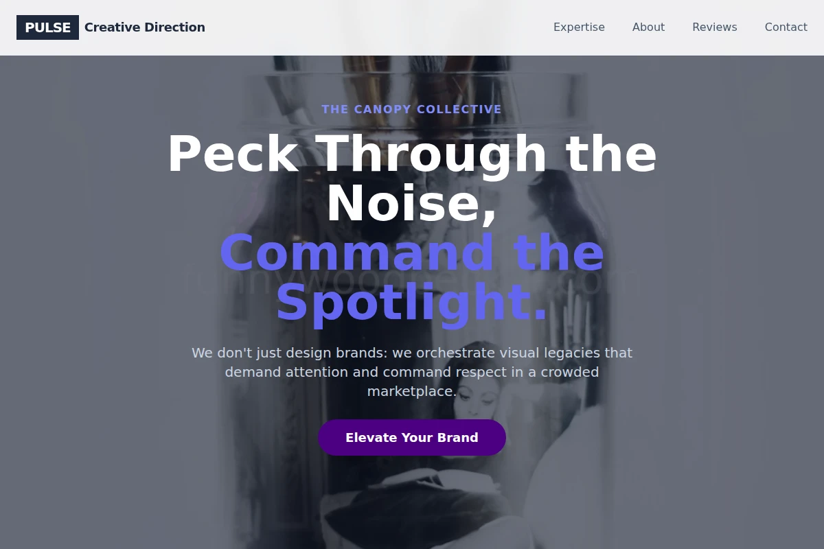 Pulse Creative Direction
