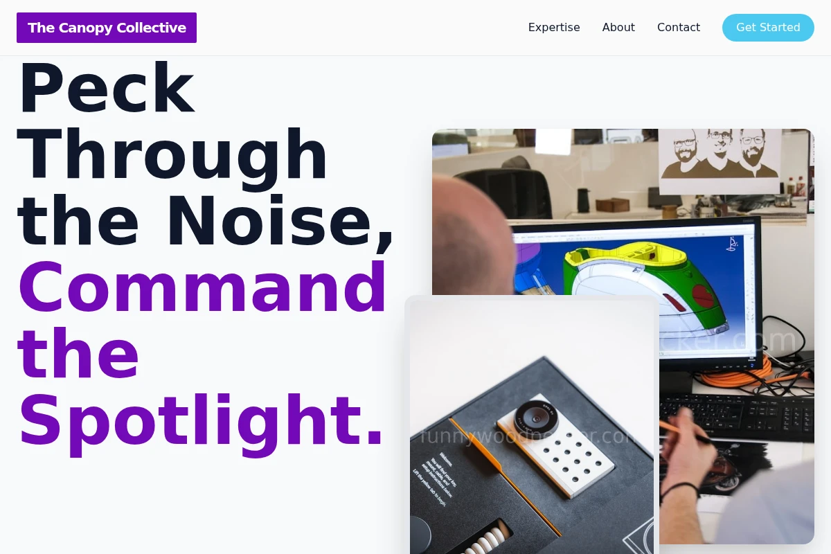 Nest Product Design
